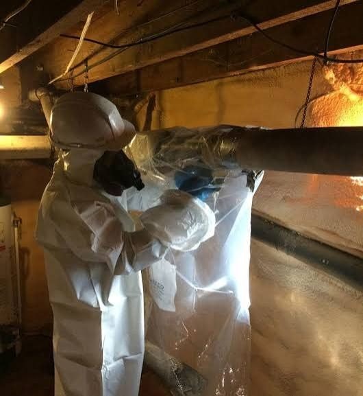 Asbestos project in Kingston