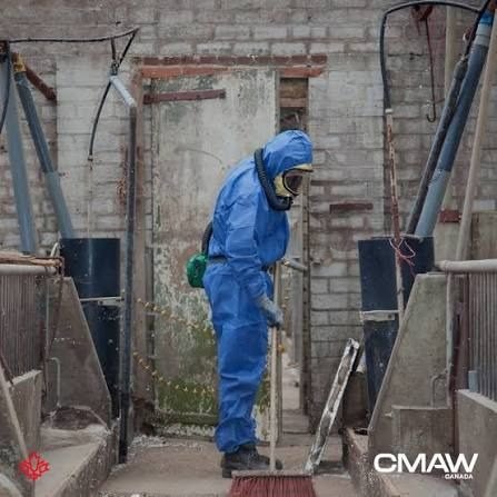 Asbestos project in Kingston