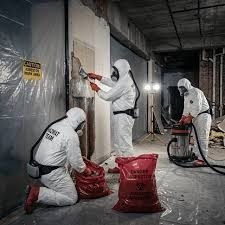 Asbestos project in Kingston
